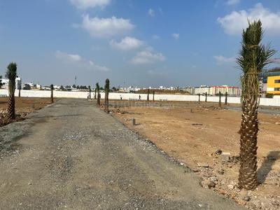 Project Image of 801.0 - 2792.0 Sq.ft Residential Plot Plot for buy in Sri Varam