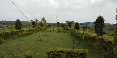 Project Image of 775.0 - 1072.0 Sq.ft Residential Plot Plot for buy in Maheshwari Heavenly Foothills