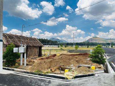 Project Image of 416.0 - 2717.0 Sq.ft Residential Plot Plot for buy in Oak Tree