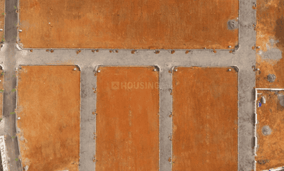 Project Images