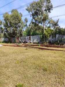 Sri Balaji Green Woods Elevation 1