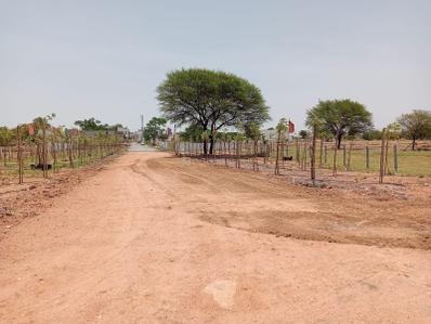 Project Image of 1089.0 - 4590.0 Sq.ft Residential Plot Plot for buy in Sunrise Nature Farms
