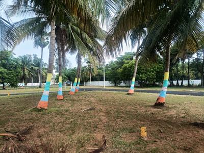 Project Image of 1200.0 - 2254.0 Sq.ft Residential Plot Plot for buy in Sudhagars Residencies
