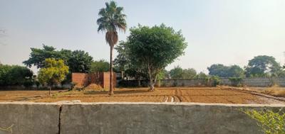 Project Image of 450.0 - 1800.0 Sq.ft Residential Plot Plot for buy in Del NCR Surya Chaman Enclave Plots