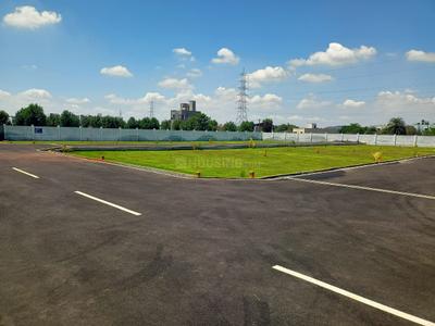Project Image of 750.0 - 1600.0 Sq.ft Residential Plot Plot for buy in Daisy Park