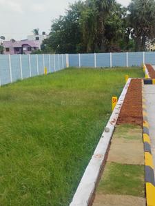 Project Image of 900.0 - 2400.0 Sq.ft Residential Plot Plot for buy in Premier Pothigai Garden