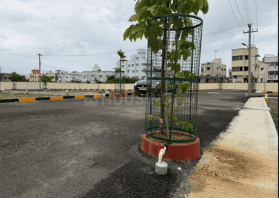 Project Images