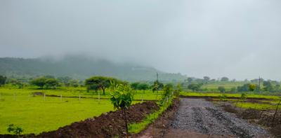 Project Image of 0.0 - 1087.0 Sq.ft Residential Plot Plot for buy in Grace Sunshine Farm