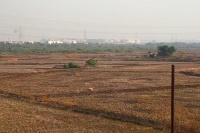 Project Image of 1000.0 - 10000.0 Sq.ft Residential Plot Plot for buy in MJ Plots In Ulwe