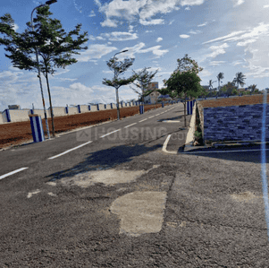 Project Images
