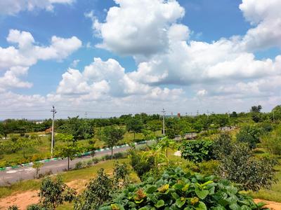 Project Image of 1323.0 - 3600.0 Sq.ft Residential Plot Plot for buy in True The Orchard