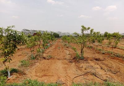 Project Image of 1350.0 - 2700.0 Sq.ft Residential Plot Plot for buy in Vision Siri Vanam