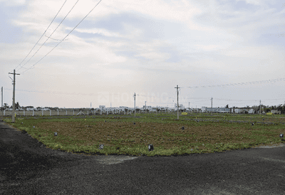 Project Images