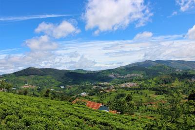 Project Image of 1000.0 - 15260.0 Sq.ft Residential Plot Plot for buy in Lushbergs