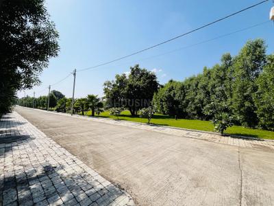 Project Image of 1000.0 - 1800.0 Sq.ft Residential Plot Plot for buy in Ricon Impex City