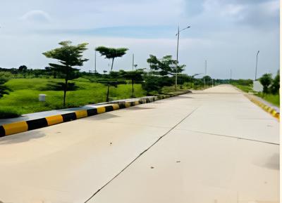 Project Image of 900.0 - 8964.0 Sq.ft Residential Plot Plot for buy in Hampton Palms