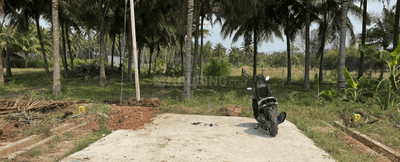 Project Images