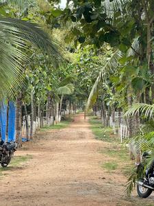 Project Image of 5659.0 - 16247.0 Sq.ft Residential Plot Plot for buy in Arinaa Country Farms