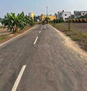 Project Image of 465.0 - 1750.0 Sq.ft Residential Plot Plot for buy in Shree MN Garden