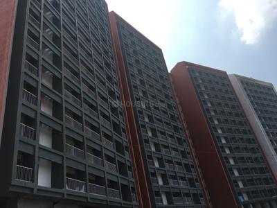Plama Grande Images for Elevation of Plama Grande 2