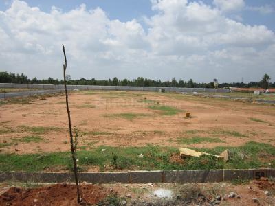 Project Image of 1200.0 - 4400.0 Sq.ft Residential Plot Plot for buy in Tekton Kenwood Park