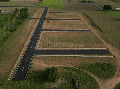 Project Images