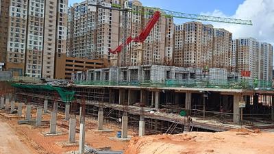 Project Image of 636.0 - 1300.0 Sq.ft 2 BHK Apartment for buy in Kalyani Living Tree