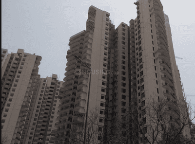 Project Image of 1195.0 - 3235.0 Sq.ft 2 BHK Apartment for buy in Amrapali Heartbeat City IV