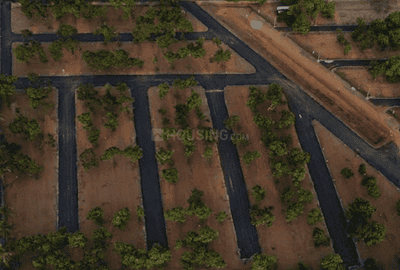 Project Images