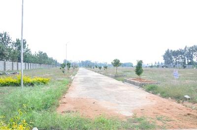 Project Image of 0.0 - 1200.0 Sq.ft Residential Plot Plot for buy in Peninsula Pine woods