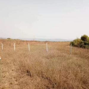 Project Images