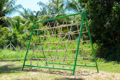 Project Image of 1560.0 - 14589.0 Sq.ft Residential Plot Plot for buy in Coconest