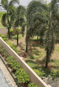 Project Image of 854.33 - 1942.99 Sq.ft 2 BHK Apartment for buy in Siddhartha Nest