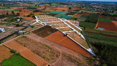 Project Image of 1300.0 - 12916.69 Sq.ft Residential Plot Plot for buy in Annciya Isha Serene