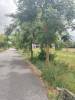Project Image of 1200.0 - 2800.0 Sq.ft Residential Plot Plot for buy in Signature Grande