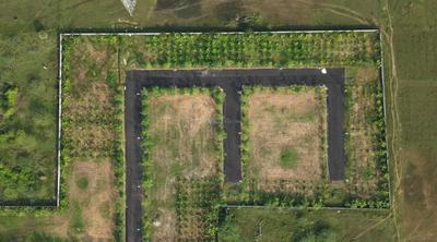 Project Image of 0.0 - 2057.0 Sq.ft Residential Plot Plot for buy in RLD Royal Pearl