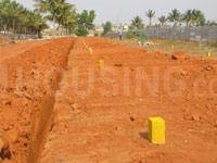 Project Image of 1199.96 - 3499.99 Sq.ft Residential Plot Plot for buy in Flamingo Township