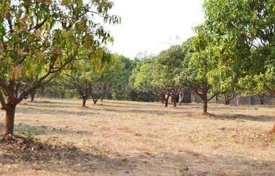 Project Image of 870.0 - 1500.0 Sq.ft Residential Plot Plot for buy in VMC Vrindavan Garden