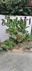 Project Image of 853.15 - 1575.84 Sq.ft 1 BHK Apartment for buy in Paranjape Athashri