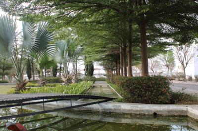 Project Image of 350.0 - 1100.0 Sq.ft Residential Plot Plot for buy in Kalyan Phase II