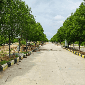 Project Image of 1503.0 - 4032.0 Sq.ft Residential Plot Plot for buy in Sukrithi Sannidhi Ankura