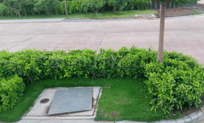 Project Image of 4000 Sq.ft Residential Plot / Land for sale in Daldal Seoni for Rs. 32000005