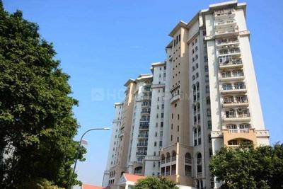 DLF Regency Park Elevation 2