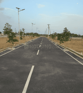 Project Images