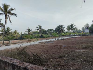 Project Image of 1502.75 - 2404.44 Sq.ft Residential Plot Plot for buy in Emmanuel Escala Paradise