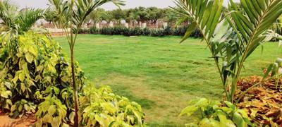 Project Image of 1319.98 - 3926.35 Sq.ft Residential Plot Plot for buy in Vinayaka Paradise City