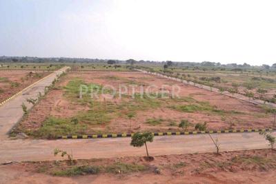 Project Image of 1200.0 - 2400.0 Sq.ft Residential Plot Plot for buy in Fortune Doctor Colony Extension