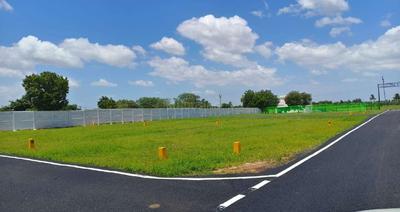Project Images