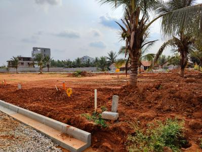 Project Image of 541.1 - 5995.5 Sq.ft Residential Plot Plot for buy in Pionier Central Avenue