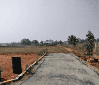 Project Images